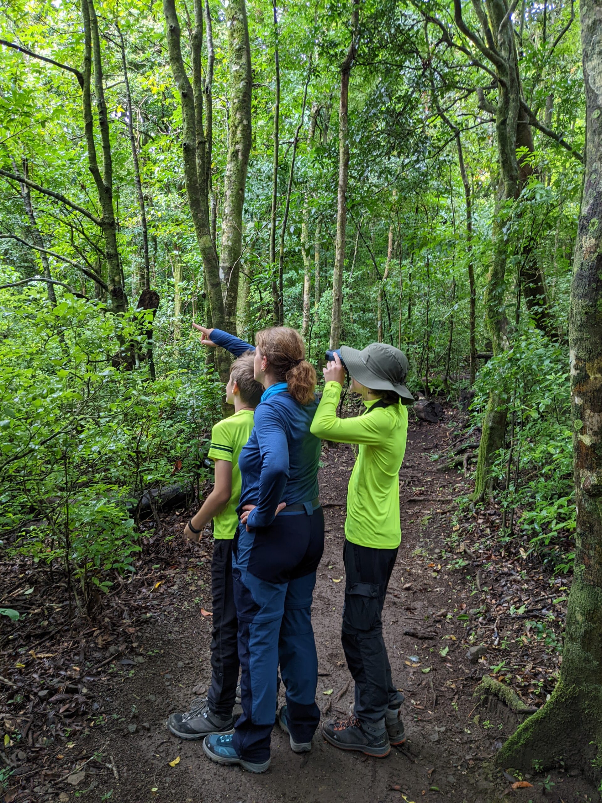 Bosque Eterno de Los Niños (Der ewige Regenwald der Kinder)