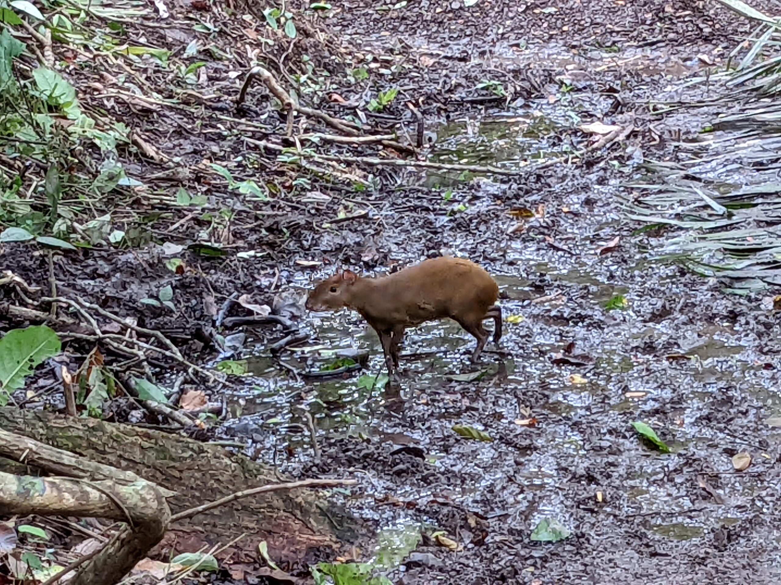 Curu Wildlife Refuge – Tag 2