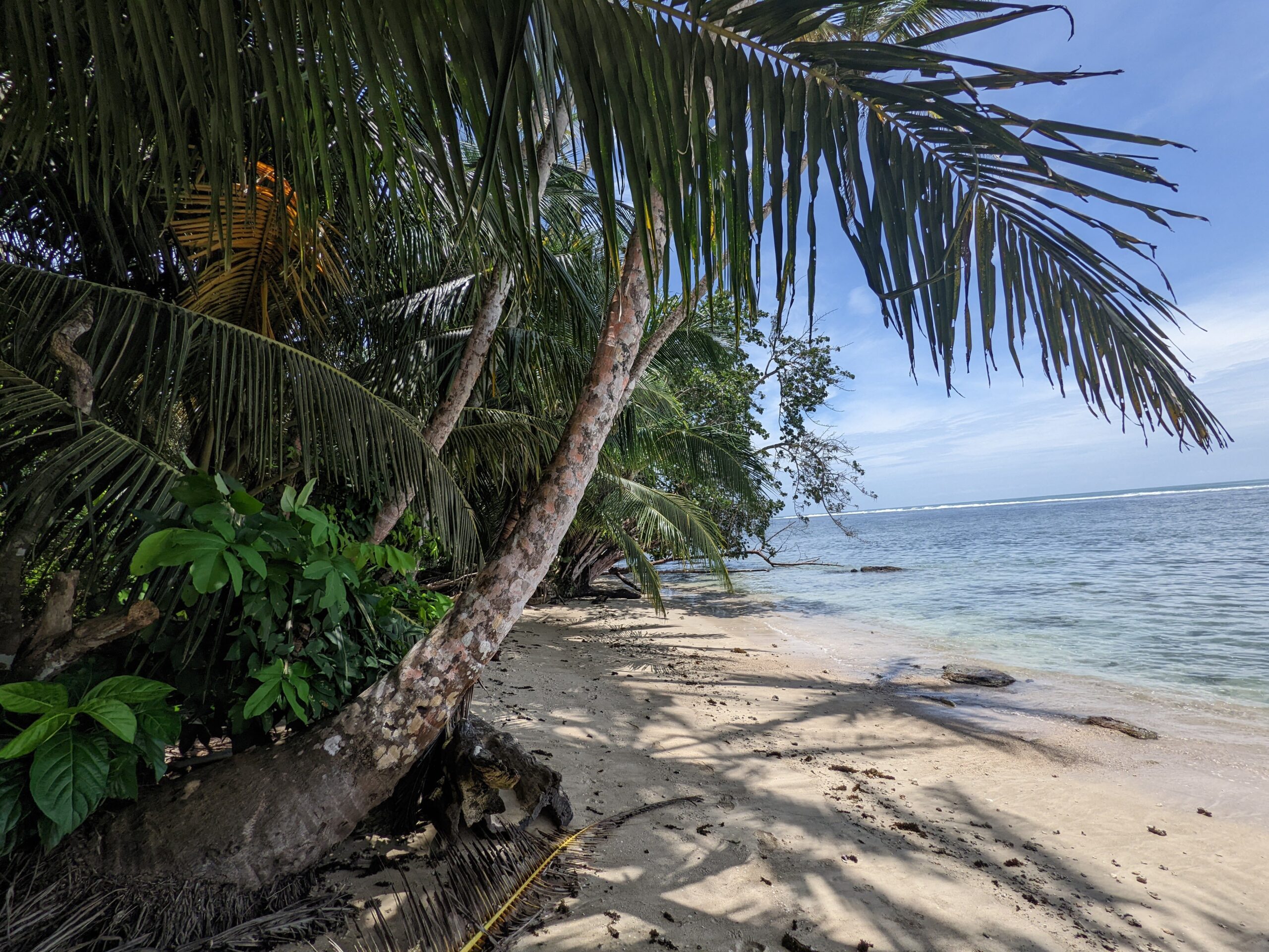 Cahuita – Tag 2